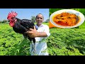 Shahi Desi Murgh Korma Recipe | Shahi Chicken Korma | Degh Style Chicken Qorma | Mubashir Saddique