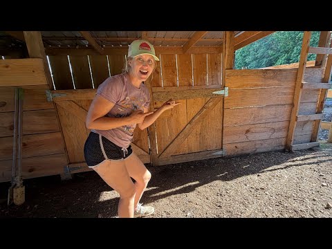 Our BIGGEST Surprise Yet on the Farm!!