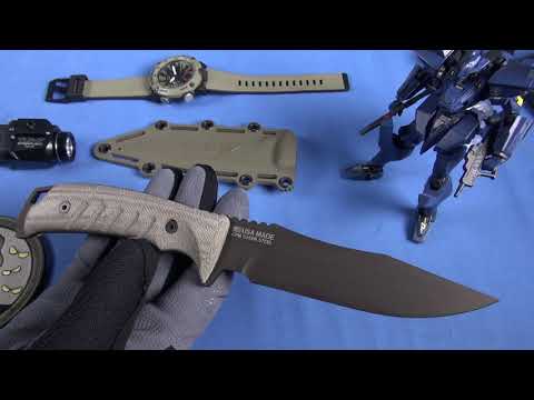 SOG Pillar with Impressive Competitive Options