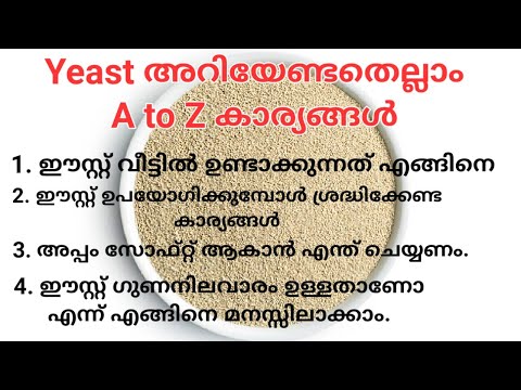 Yeast വീട്ടിൽ എങ്ങിനെ ഉണ്ടാക്കാം | ഈസ്റ്ററിനെ കുറിച്ച് അറിയേണ്ടതെല്ലാം | Yeast Making at Home