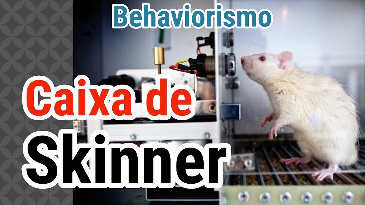 #48 - A caixa de Skinner (condicionamento operante / Behaviorismo)
