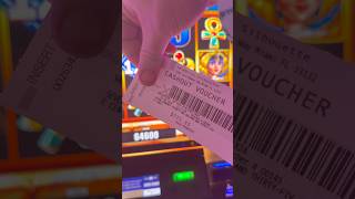 $500+ Win On A $4 Bet! #celebritycruises