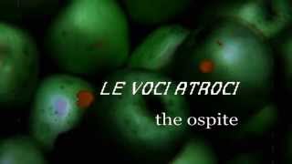 LE VOCI ATROCI - The Ospite - CATTIVERIA NAIF - 1995