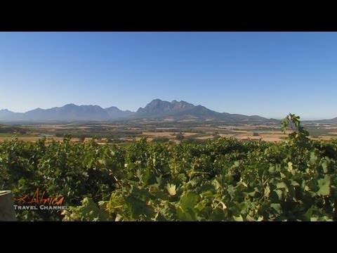 Fairview Wine & Cheese Farm Stellenbosch South Africa - Africa Travel Channel