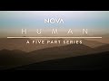 Preview NOVA HUMAN Origins