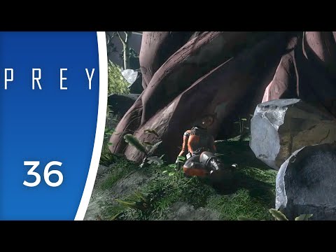 No stone left unturned - Let's Play Prey (2017) #36