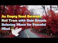An Empty Road Between Red Trees With Rain Sounds Relaxing Music For Peaceful Mind