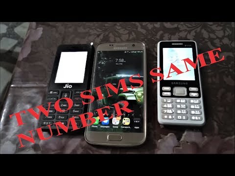 How to get two sims with same number