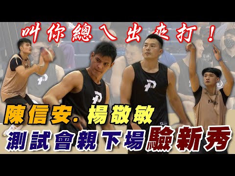 PLG》叫你總經理出來打！「台灣飛人」陳信安、「年度MVP」楊敬敏測試會親自下場驗新秀 【MOMO瘋運動】