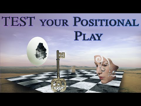 Test your positional play (Larsen v Seirawan)