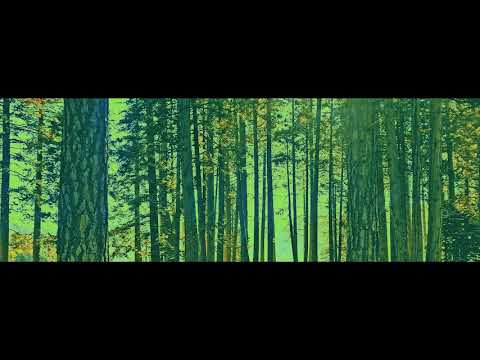 Phonic Deep NYE 2010   Paronator - Morning Mist