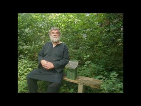 Ingolf Stein : heute hier, morgen dort