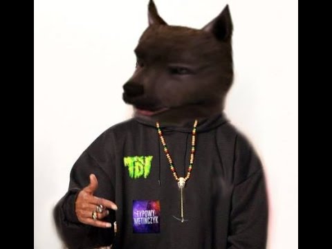 DZIKI PIES - GARDZĘ NOOBAMI (Danny E.B beat) NAPISY PL