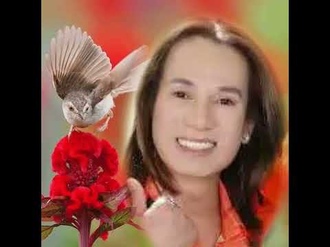 Màu Hoa Bí - Ngô Quốc Linh Giọng Ca Vàng ( Của 1 Thời Xuân Xanh Của Anh Thương Anh  Lắm 😥😥