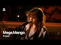 Mega Mango Boggle Audiotree Live