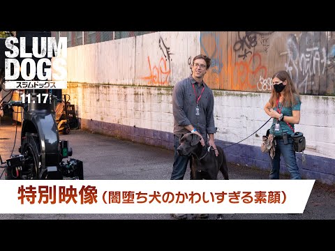 特別映像「闇堕ち犬のかわいすぎる素顔 」