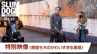 特別映像「闇堕ち犬のかわいすぎる素顔 」