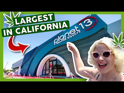 INSIDE PLANET 13 🚀 California's Largest Dispensary!