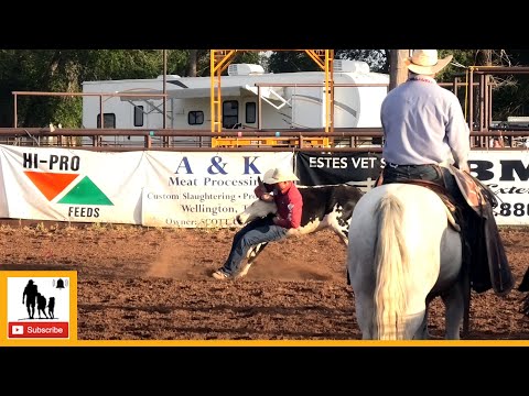 Steer Wrestling - 2023 Wellington Pro Rodeo | Thursday