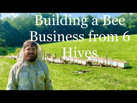 Splitting 6 Hives into 75 in 4 months