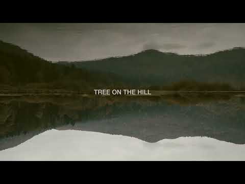 Hauptman - Tree on the hill (lyric video)