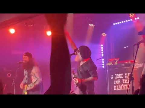 Jaya the cat - Huddersfield rain @TheHairydog Derby 16/04/2022