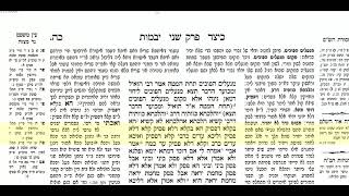 יבמות דף כה
