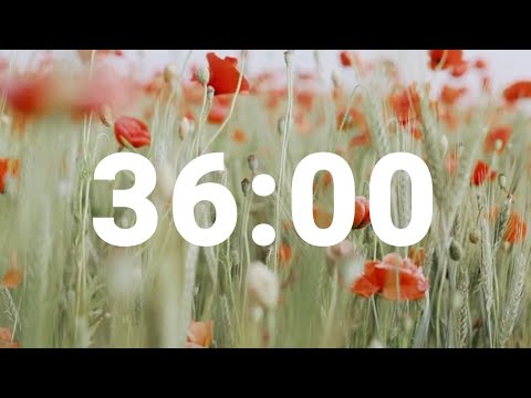 36 Minute Timer with Relaxing Music and Alarm, Countdown Clock for Stress Relief