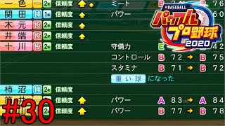 【実況】頑張ってる人間は報われるべきだよね【eBASEBALL パワフルプロ野球　栄冠ナイン】Part30