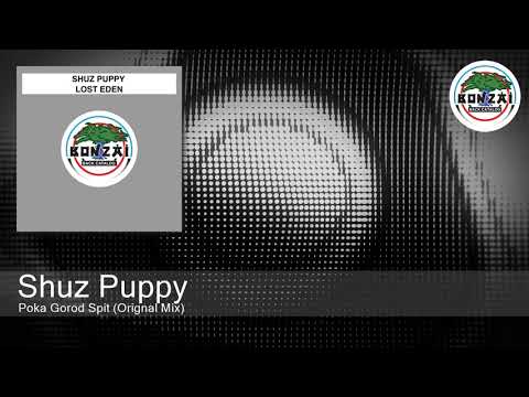 Shuz Puppy - Poka Gorod Spit (Orignal Mix)