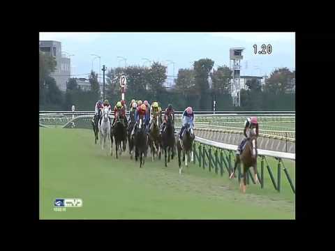 2015.11.29 Japan Cup - Shonan Pandora