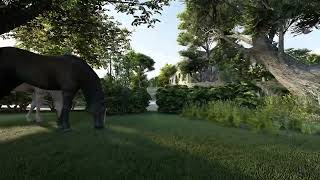 Mediterranean Country House | Video