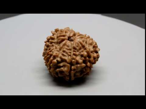 RD46530 GJSPC LABORATORY