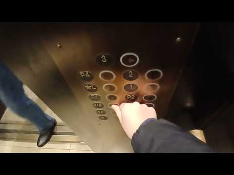 Montgomery traction elevators at Nordstrom at The Westchester mall (White Plains, NY)