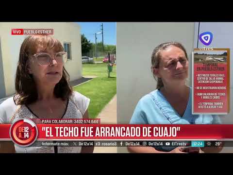 En Pueblo Esther, el temporal dañó por completo el centro de salud animal.