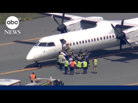 Passengers who helped restrain pilot during mid-air emergency speak out