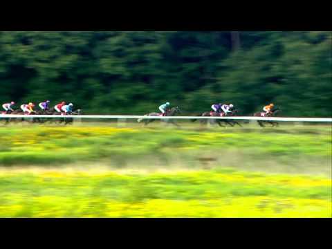 2014.08.03 Dansk Derby - Davicii