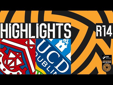 bg-highlight