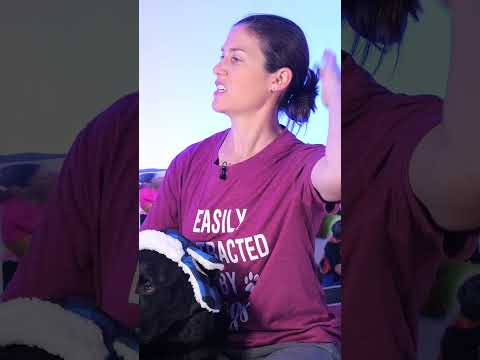 Chin Tucks Sitting Ask Doctor Jo