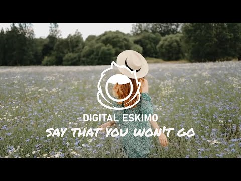 Digital Eskimo - Say That You Won't Go