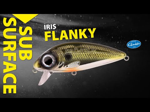 Spro IRIS Flanky 75F 7.5cm 13g Roach F