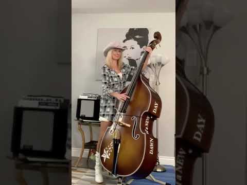 6.  Gotta Sell Them  Chickens  (Hank Thompson/ Junior Brown version)