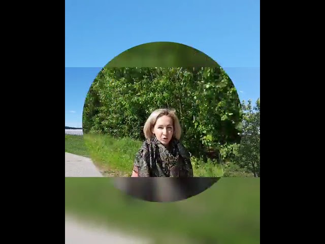 Журналистларның көндәлек эше дәвам итә