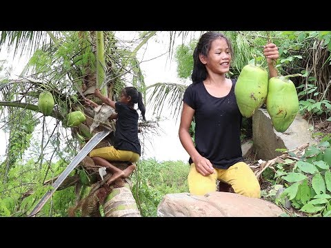 My Natural Food: Find Food Meet Natural Coconut Fruit For Eat Near Water Flow #7 Video