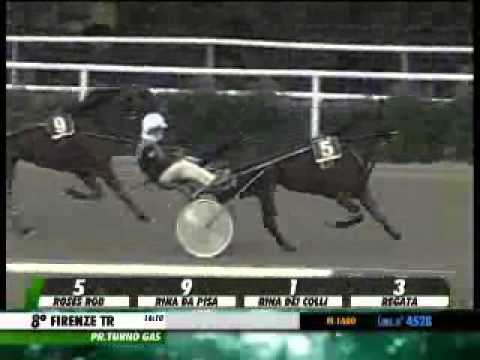 20/11/2013, Firenze , Premio Turno Gas C.naz.