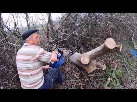 ŞİDDETLİ RÜZGARDAN DEVRİLEN AĞACI KESTİK || 100 km Hızla Esen Lodos Sonrası (GoPro)