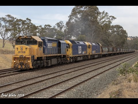 XR558 leads 4KC6 grain with BL33 and G540 at Tallarook- 12/11/18