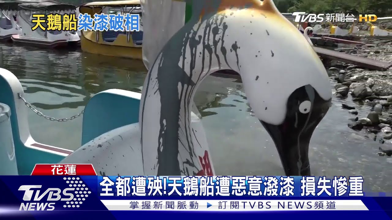 全都遭殃!天鵝船遭惡意潑漆 損失慘重