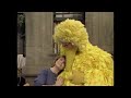 Sesame Street Big Bird And Gina Sing Near To You