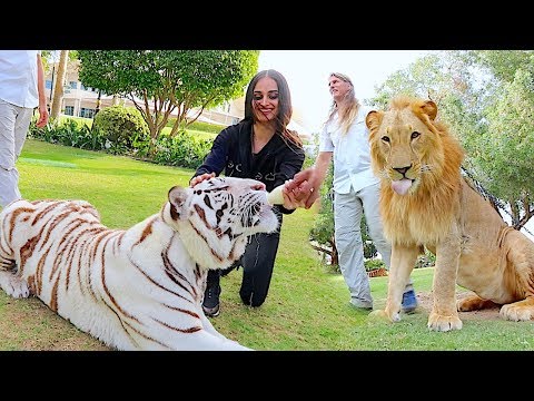 Visiting the Royal Family of Dubai !!!